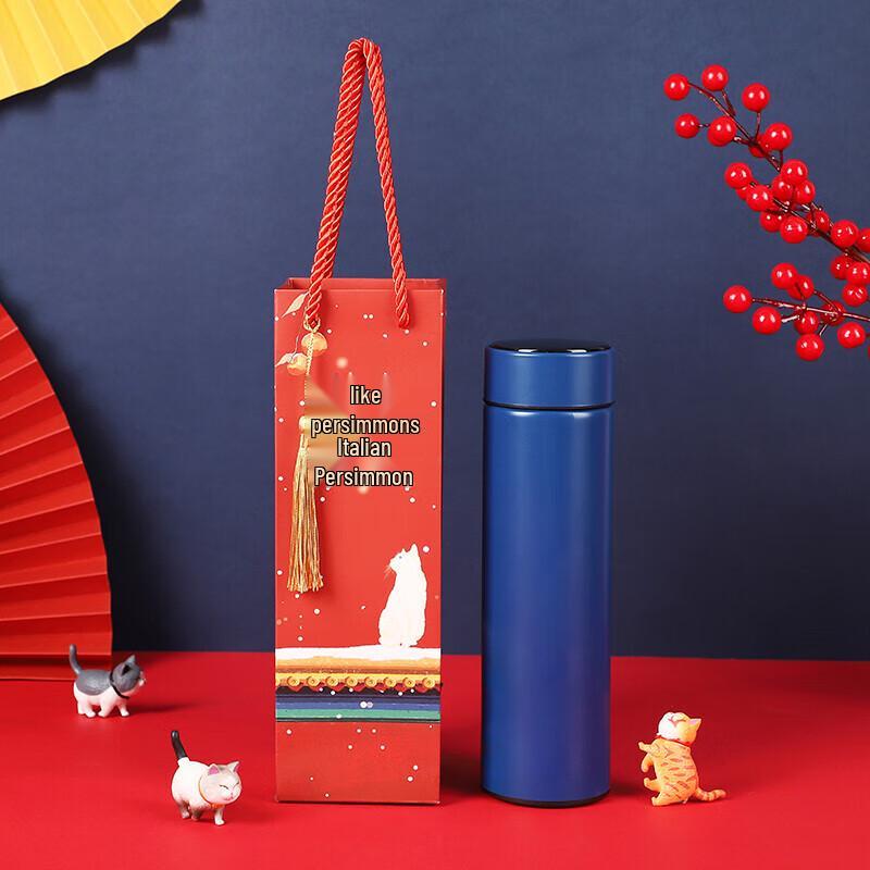 Dieshe Insulated Stainless Steel Water Bottle Gift Set
Dieshe Insulated Stainless Steel Water Bottle Gift Set