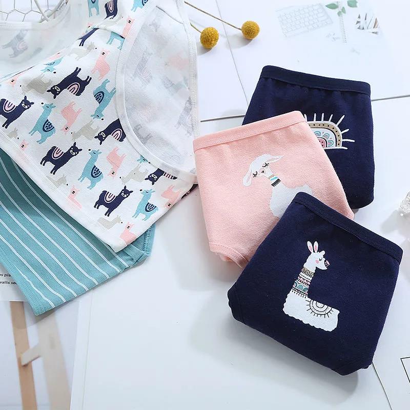 5 предметов, детские хлопковые трусы с милым мультяшным медведем для девочек, нижнее белье, повседневная жизнь M
5 предметов, детские хлопковые трусы с милым мультяшным медведем для девочек, нижнее белье, повседневная жизнь M