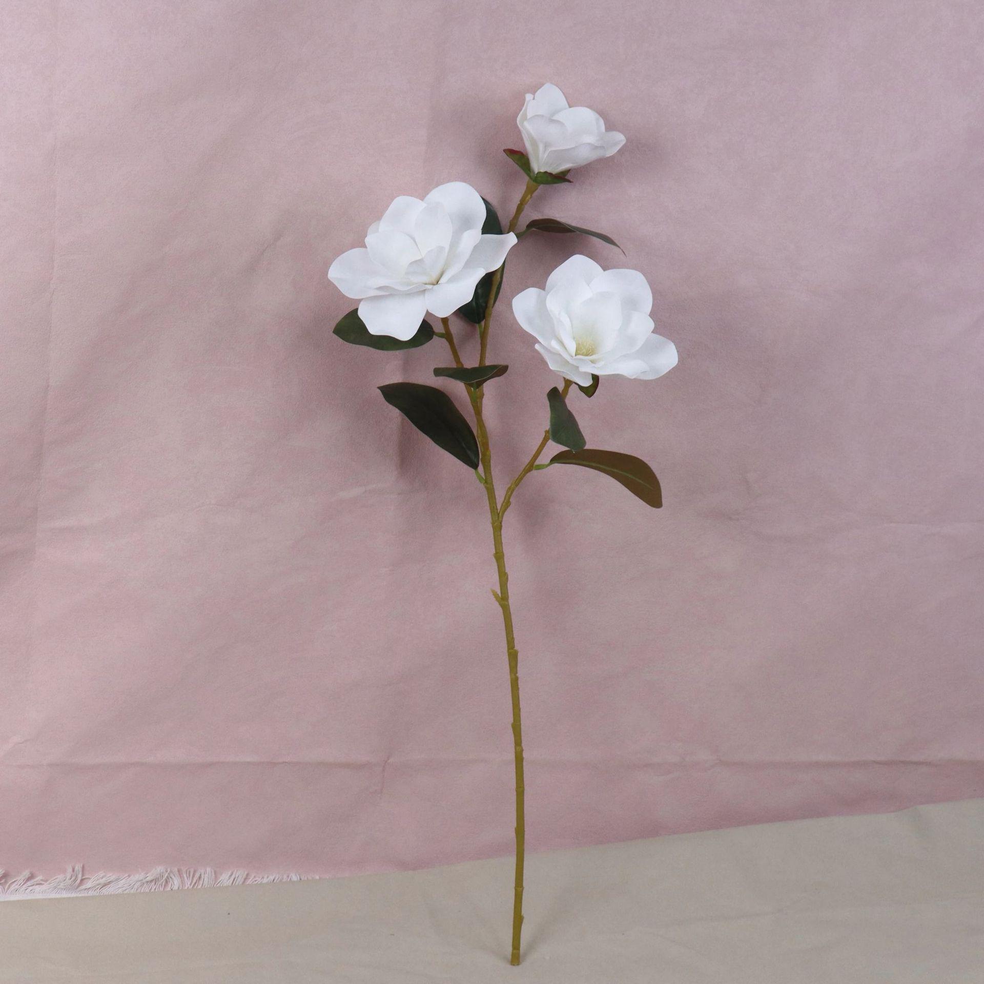 3-Head Magnolia Zen Floral Art for Home & Hotel Decor
3-Head Magnolia Zen Floral Art for Home & Hotel Decor