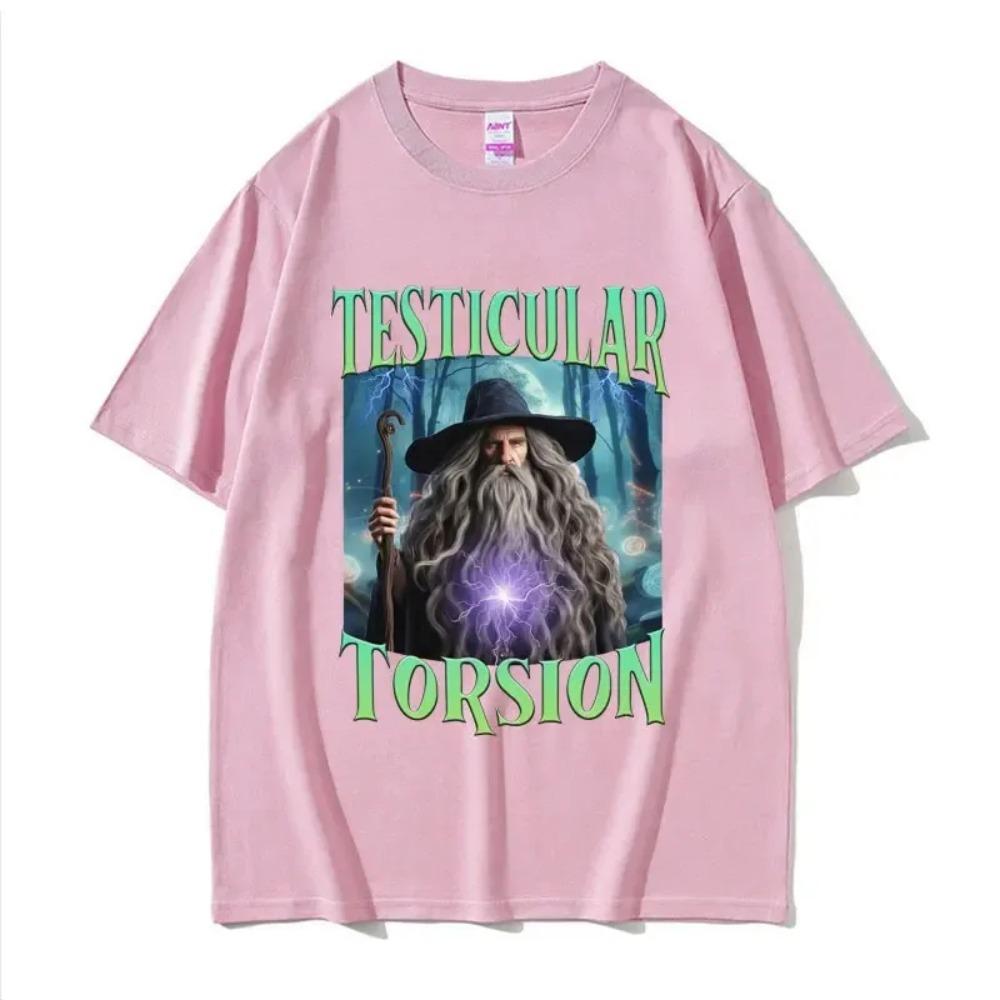 Смешная футболка Shadow Wizard, мем про перекрут яичка, графическая футболка, мужская, женская, ретро, готическая, оверсайз, футболка с коротким рукавом, топы S
Смешная футболка Shadow Wizard, мем про перекрут яичка, графическая футболка, мужская, женская, ретро, готическая, оверсайз, футболка с коротким рукавом, топы S