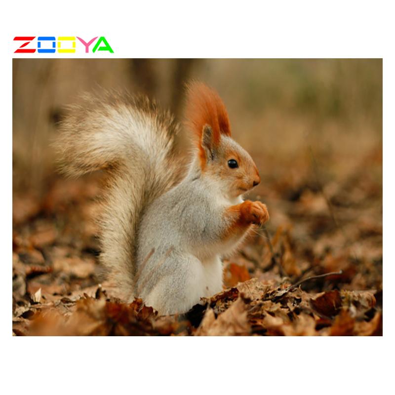 ZOOYA DIY 3D Алмазная картина Животные Белки Алмазная вышивка Крестиком Главная Декор
ZOOYA DIY 3D Алмазная картина Животные Белки Алмазная вышивка Крестиком Главная Декор