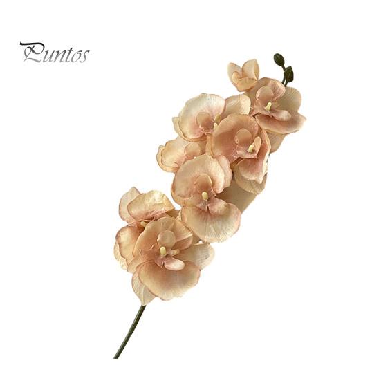 Искусственные орхидеи-мотыльки, реалистичные искусственные шелковые цветы, свадебная вечеринка, домашний офис, центральный элемент стола, искусственный фаленопсис, цветочная ветка, украшение шампанского
Искусственные орхидеи-мотыльки, реалистичные искусственные шелковые цветы, свадебная вечеринка, домашний офис, центральный элемент стола, искусственный фаленопсис, цветочная ветка, украшение шампанского