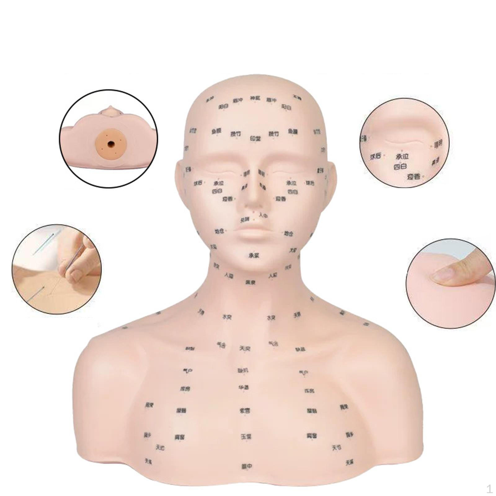 Mannequin Head with Acupressure Point Compact Soft Realistic Professional Practice Training
Mannequin Head with Acupressure Point Compact Soft Realistic Professional Practice Training