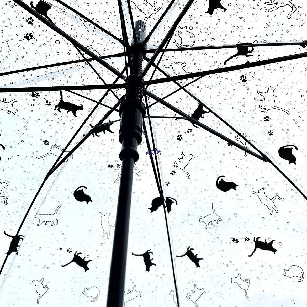 Японский стиль прозрачный зонт с черным котом: Ветрозащитный и Складной - Идеально для Фото! Black Cat Manual
Японский стиль прозрачный зонт с черным котом: Ветрозащитный и Складной - Идеально для Фото! Black Cat Manual