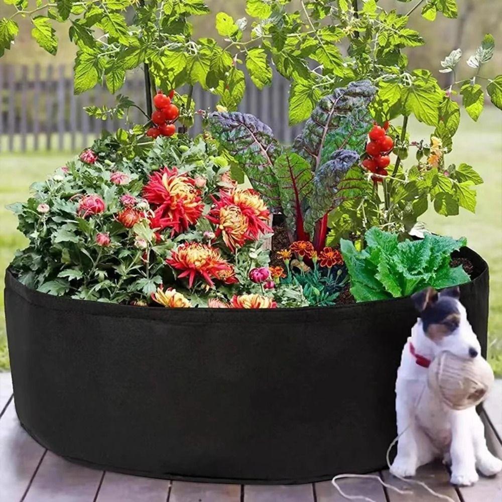 Round Growth Bag Durable Planting Seedling Bag Gardening Supplies Planting Bucket Pot and Planting XS фіолетовий
Round Growth Bag Durable Planting Seedling Bag Gardening Supplies Planting Bucket Pot and Planting XS фіолетовий