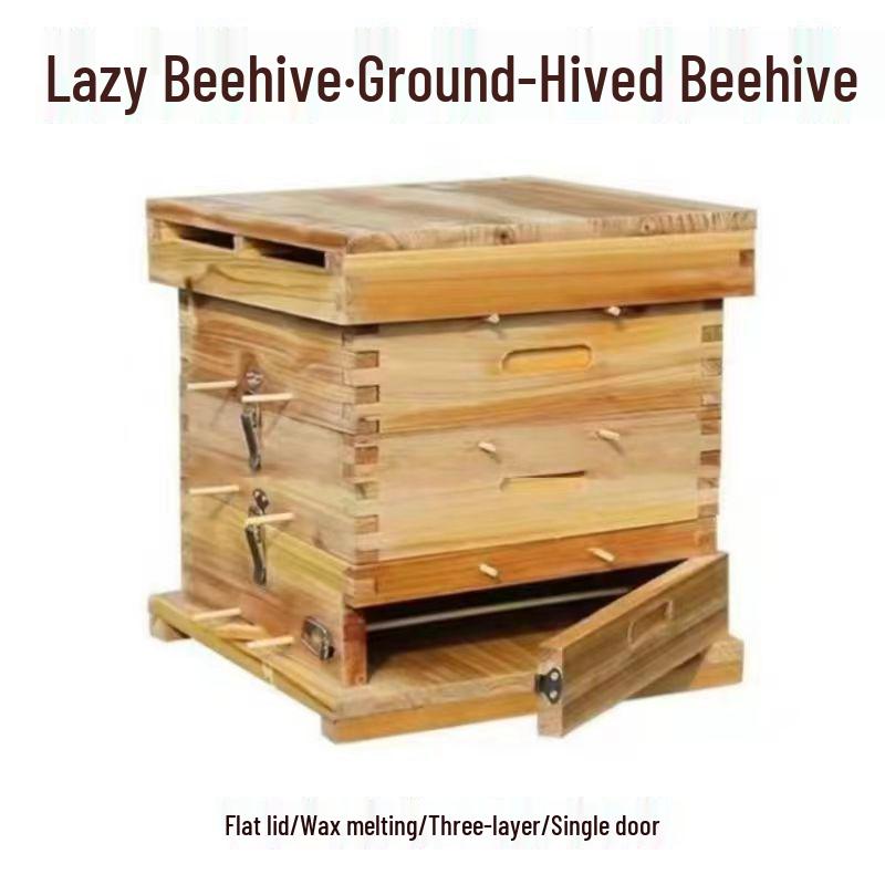 Five-Layer Fir Wood Langstroth Hive with Bee Attracting Bucket and Honeycomb Box for Soil-Raised Wild Bees
Five-Layer Fir Wood Langstroth Hive with Bee Attracting Bucket and Honeycomb Box for Soil-Raised Wild Bees