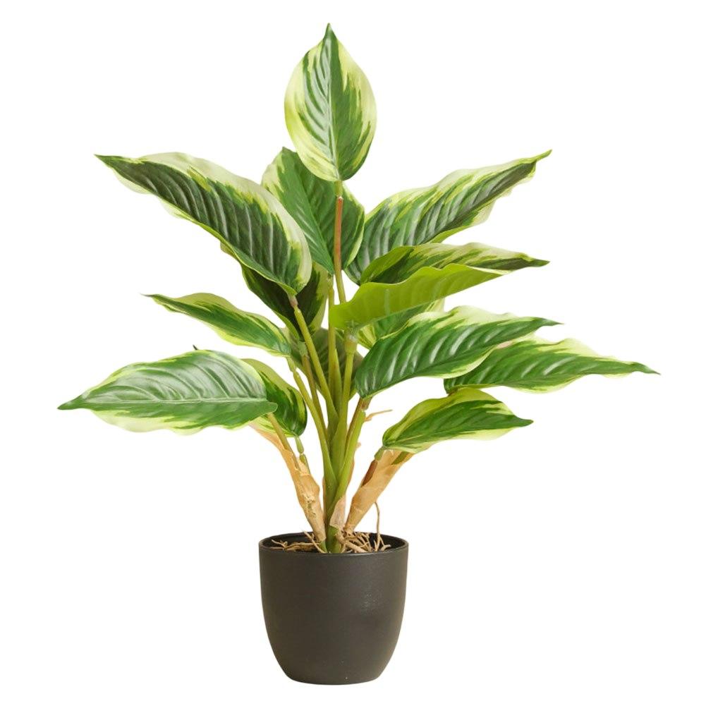 Simulated 41CM Green Plant for Indoor Use Stylish Home and Office Decor Piece Designed to Look Like Real Plants
Simulated 41CM Green Plant for Indoor Use Stylish Home and Office Decor Piece Designed to Look Like Real Plants