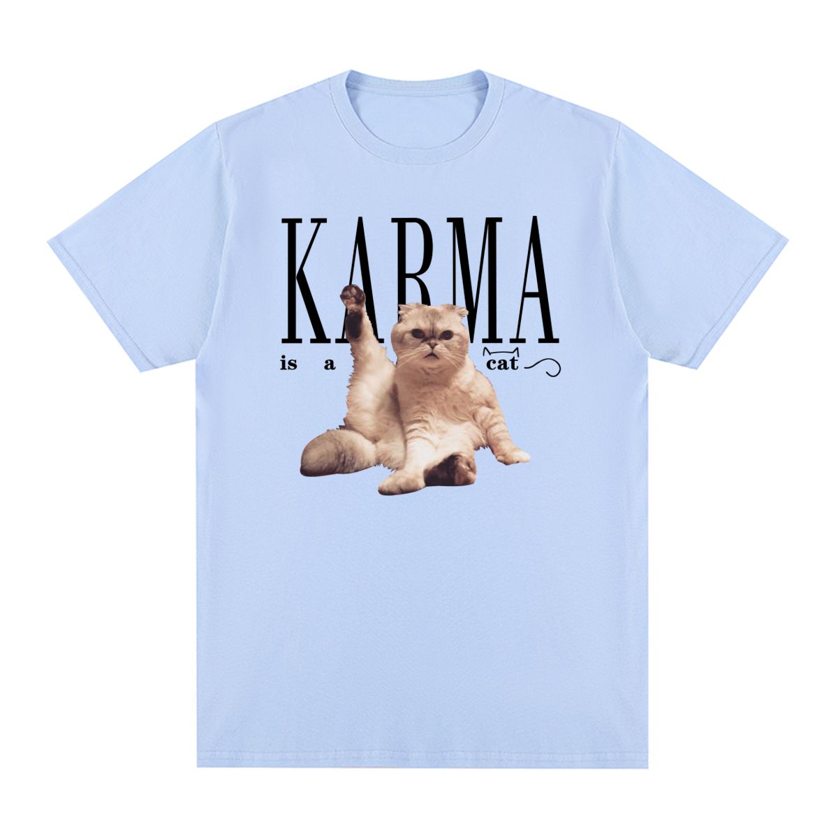 Karma Is A Cat Swift Vintage Tshirt Music Tour Cotton Men T shirt New Tee Tshirt Womens Tops 4XL
Karma Is A Cat Swift Vintage Tshirt Music Tour Cotton Men T shirt New Tee Tshirt Womens Tops 4XL