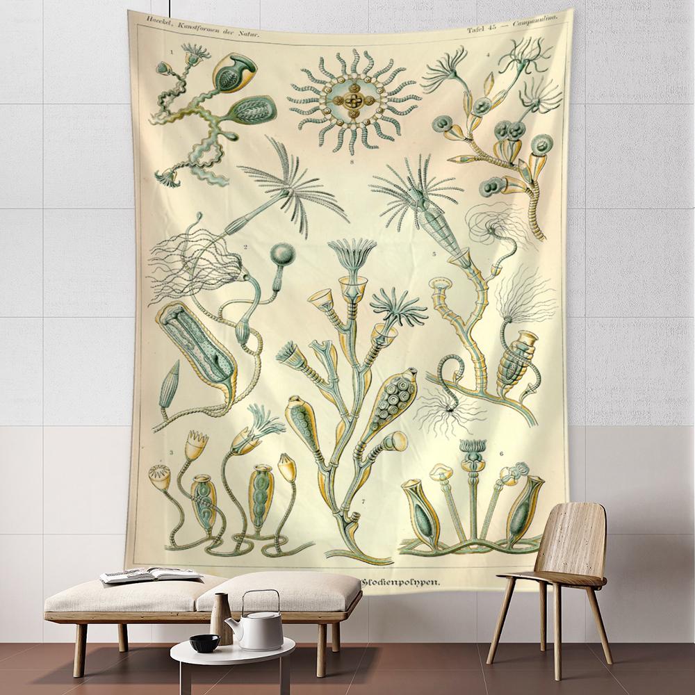 Осьминог Медуза Классификация Карта Гобелен Настенный Художественный Богемный Стиль Психоделический Общежитие Простой Домашний Декор 95x70cm
Осьминог Медуза Классификация Карта Гобелен Настенный Художественный Богемный Стиль Психоделический Общежитие Простой Домашний Декор 95x70cm