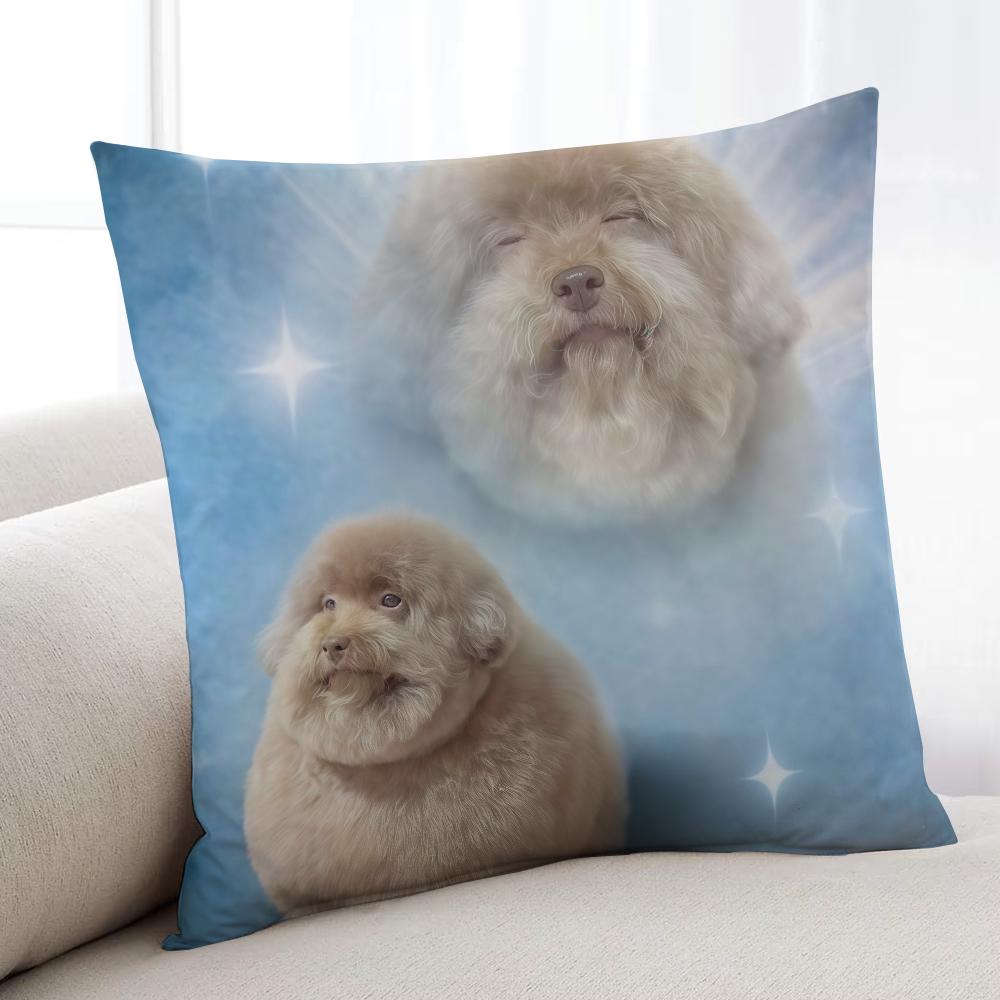 Funny Cute Fashion cushion cover Home Bedding Sofa living Room pillowcase Simple Dog Soft Skin Cushion Cover Party Gift 30x30 cm
Funny Cute Fashion cushion cover Home Bedding Sofa living Room pillowcase Simple Dog Soft Skin Cushion Cover Party Gift 30x30 cm