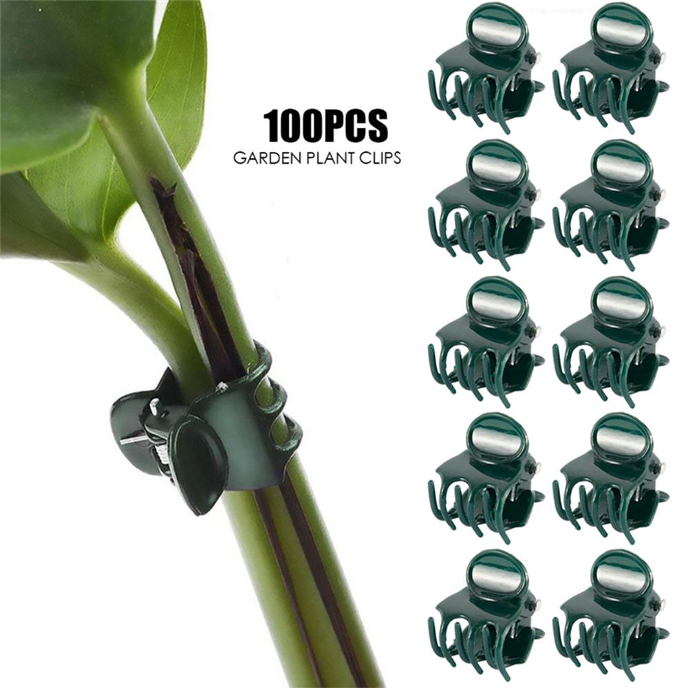Fastener Planting Grafting Vine Support Plant Support Clips Farm Supplies Garden Tool Stem Clip 100pcs/bag
Fastener Planting Grafting Vine Support Plant Support Clips Farm Supplies Garden Tool Stem Clip 100pcs/bag