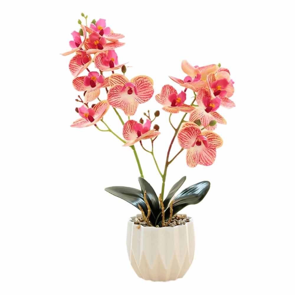 Multicolor Butterfly Orchid Artificial Bonsai White Flowerpot Green Leaves Simulation Phalaenopsis Flower 2 Forks Photo Props розы красного
Multicolor Butterfly Orchid Artificial Bonsai White Flowerpot Green Leaves Simulation Phalaenopsis Flower 2 Forks Photo Props розы красного