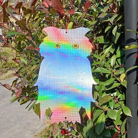 Reflective Double-Sided Laser Bird Scaring Owl Hanging Ornament
Reflective Double-Sided Laser Bird Scaring Owl Hanging Ornament