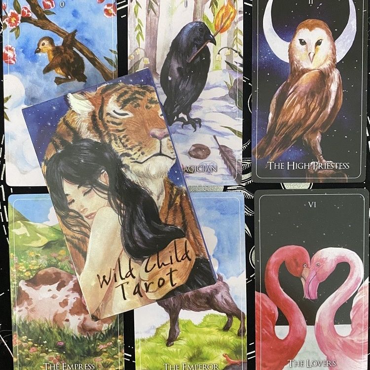 Дикие Ребенка Колода Таро Карты Игра Партия Стол Настольная Игра
Дикие Ребенка Колода Таро Карты Игра Партия Стол Настольная Игра