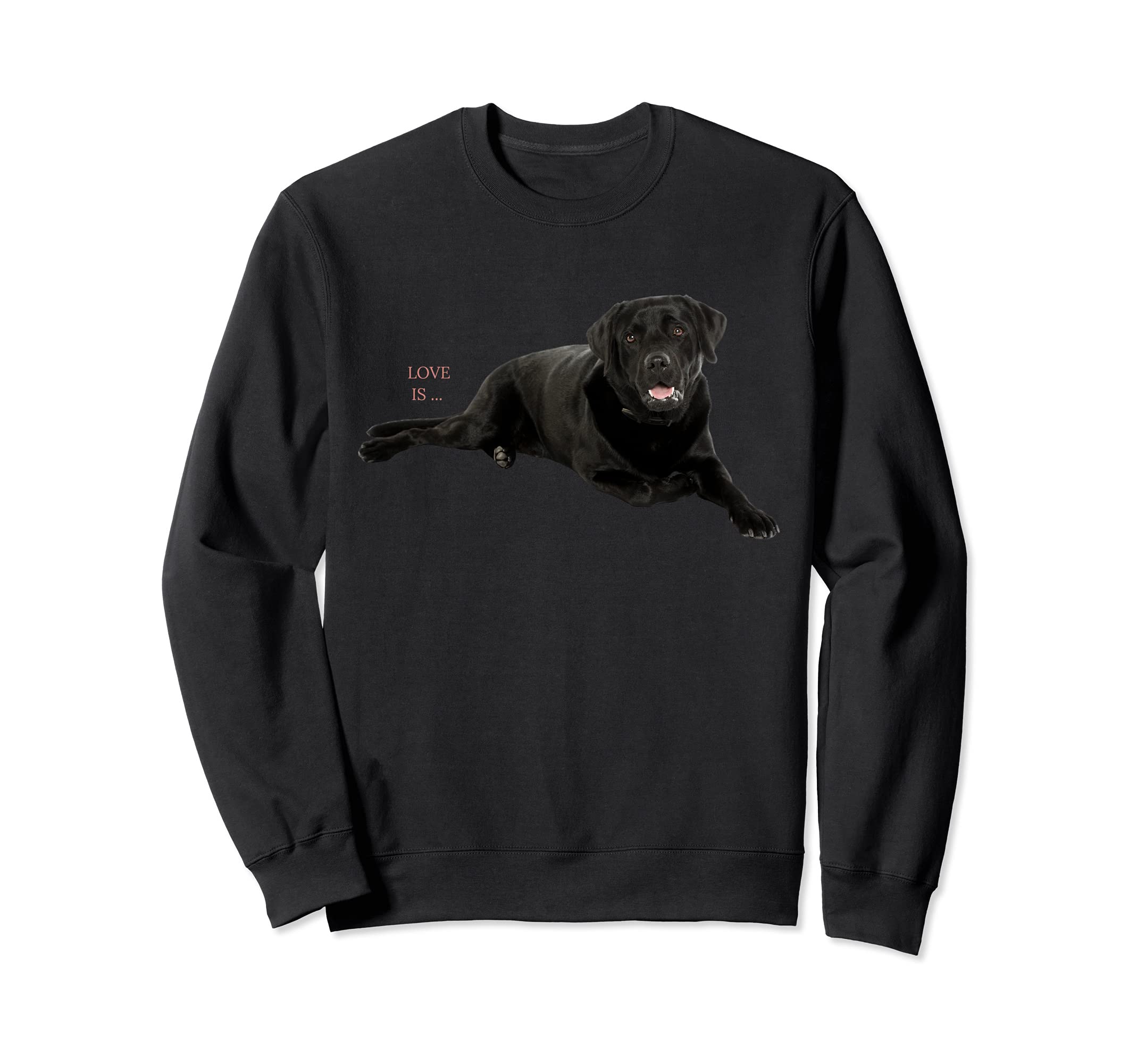 Черная футболка с изображением лабрадора-ретривера Love Lab Mom Dad Chocolate Sweatshirt
Черная футболка с изображением лабрадора-ретривера Love Lab Mom Dad Chocolate Sweatshirt