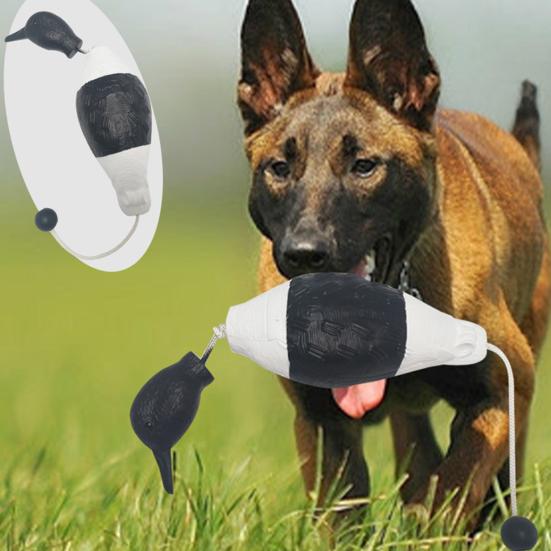 Yousheng Pet Toy Реалистичная игрушка для дрессировки собак в форме фазана, голубя, утки, устойчивая к укусам игрушка для охотничьих собак, товары для животных
Yousheng Pet Toy Реалистичная игрушка для дрессировки собак в форме фазана, голубя, утки, устойчивая к укусам игрушка для охотничьих собак, товары для животных
