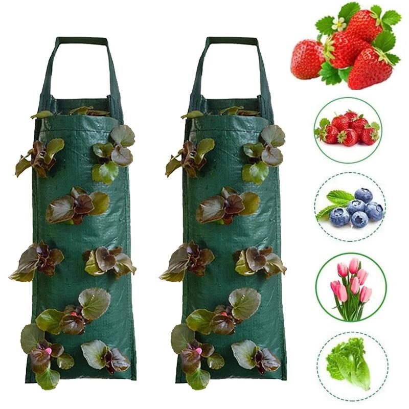 Plant Grow Bags Pot Planter Wall Hanging Garden Strawberry Plant 4 6 8 10 Pockets Planting Bags Planter Pot Potato Veg Flower
Plant Grow Bags Pot Planter Wall Hanging Garden Strawberry Plant 4 6 8 10 Pockets Planting Bags Planter Pot Potato Veg Flower