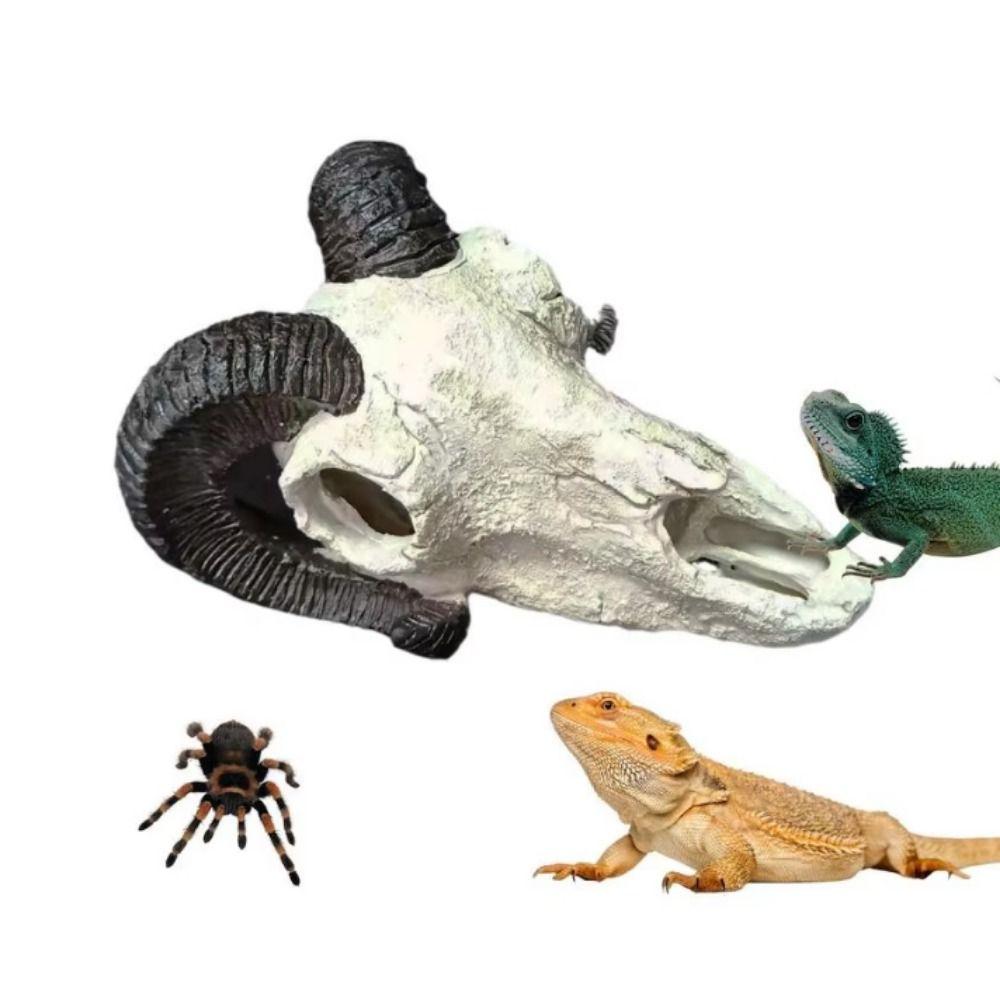 Simulation Sheep Skull Ornament Lifelike Sheepshead Skull Aquarium Decor Aquarium Terrarium Style C
Simulation Sheep Skull Ornament Lifelike Sheepshead Skull Aquarium Decor Aquarium Terrarium Style C