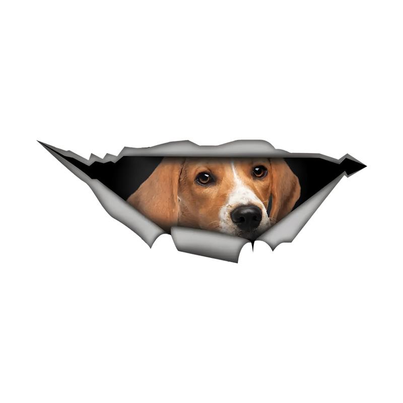 Car Stickers for Beagle Hidden in Holes Waterproof Irregularly Shaped Car Decoration Decals 15cm-Longest Side
Car Stickers for Beagle Hidden in Holes Waterproof Irregularly Shaped Car Decoration Decals 15cm-Longest Side
