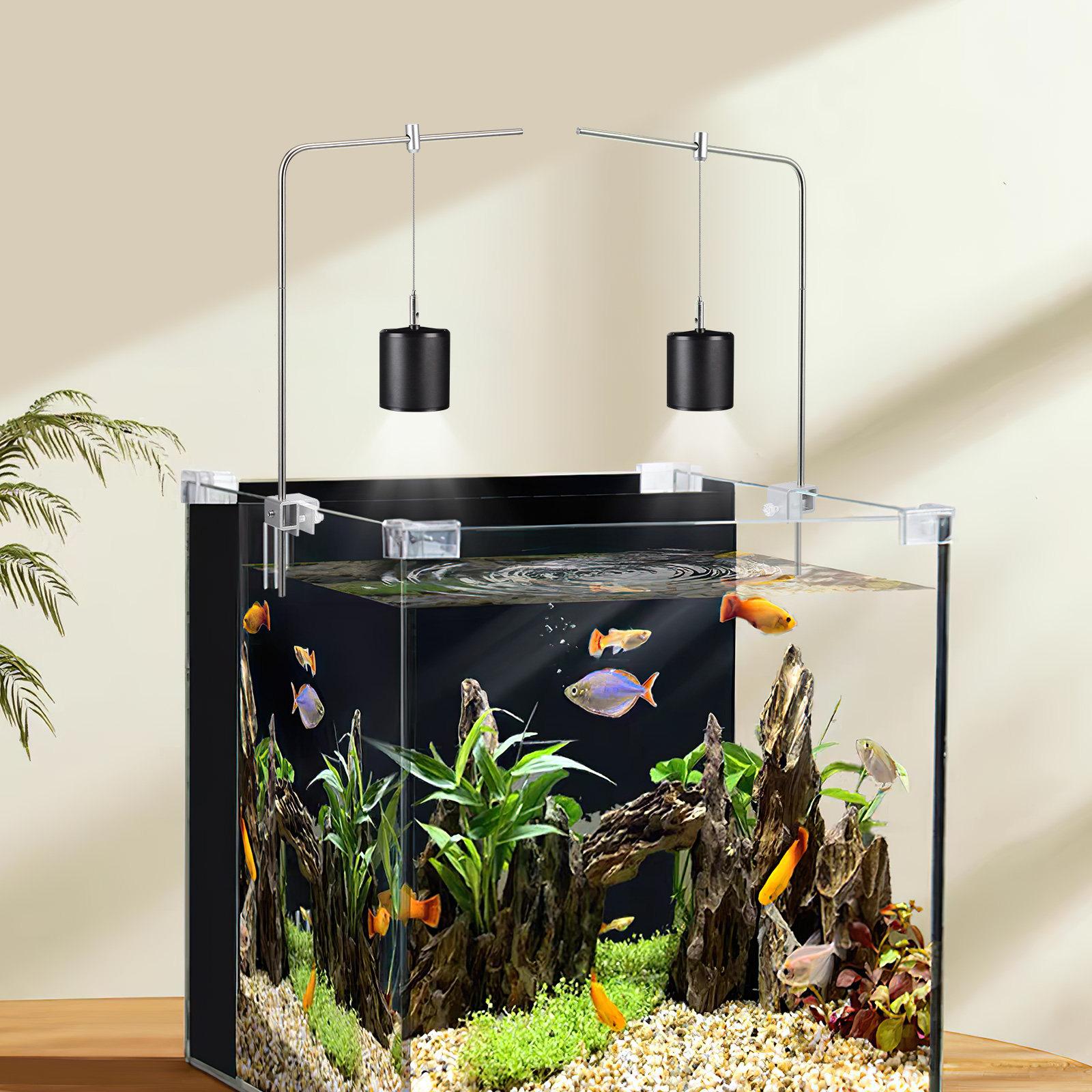 1Set Space Saving Adjustable Fish Tank Light Rack Premium Aluminum Alloy Construction Lamp Rack for Aquarium Lighting Fish Tank EU Plug
1Set Space Saving Adjustable Fish Tank Light Rack Premium Aluminum Alloy Construction Lamp Rack for Aquarium Lighting Fish Tank EU Plug