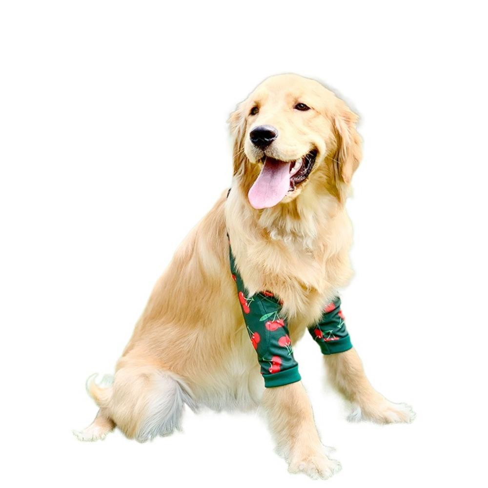 Мягкий налокотник для щенка, поддержка плеча, налокотник для собаки, защитные накладки, собачий локоть L-Style C
Мягкий налокотник для щенка, поддержка плеча, налокотник для собаки, защитные накладки, собачий локоть L-Style C