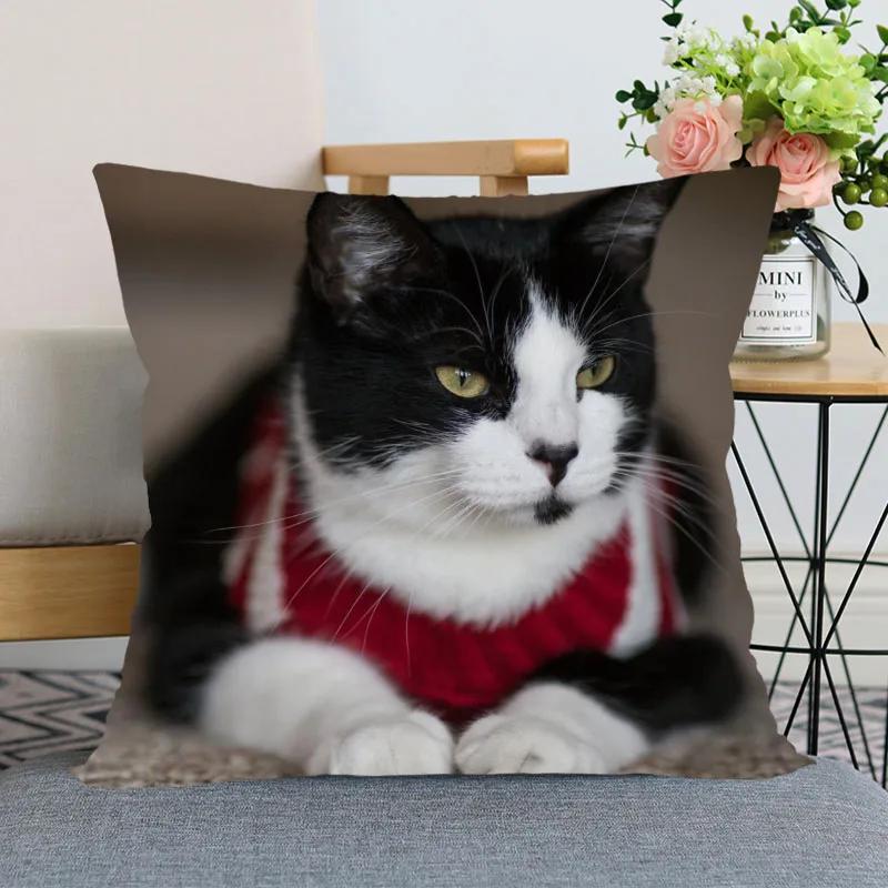 Милая наволочка для кровати с изображением животных для автомобиля, дивана, домашнего питомца, кошки, наволочка с принтом 50x50cm
Милая наволочка для кровати с изображением животных для автомобиля, дивана, домашнего питомца, кошки, наволочка с принтом 50x50cm