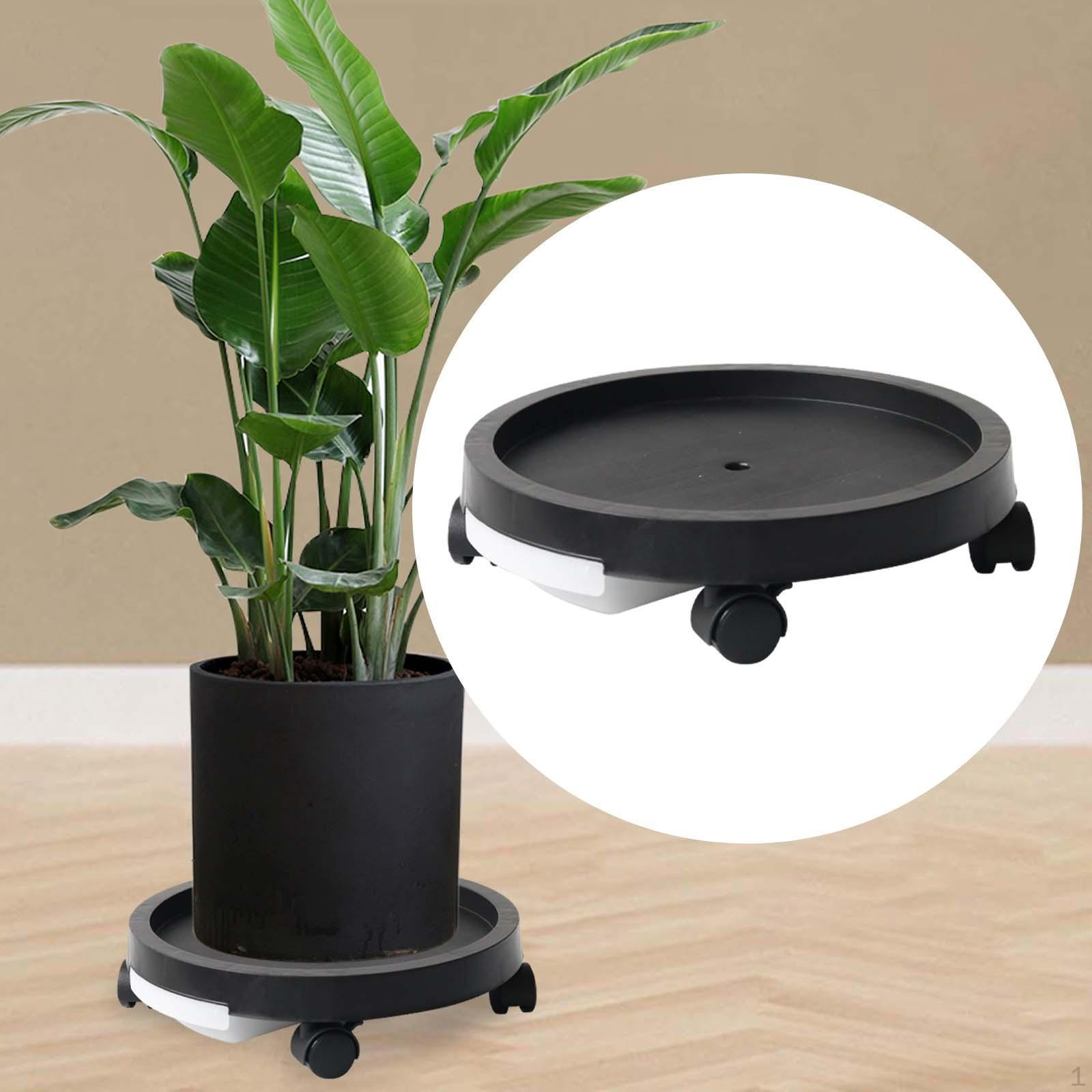 Мобільна підставка для рослин із рухомими коліщатками для легкого переміщення в приміщенні та на вулиці Black 24.4cm
Мобільна підставка для рослин із рухомими коліщатками для легкого переміщення в приміщенні та на вулиці Black 24.4cm
