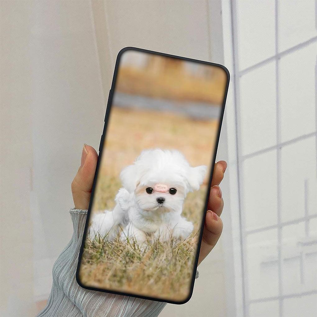 Poodle Bichon Frise Dog Cover Phone Case for Samsung Galaxy A10 A20 A53 A30 A31 A32 A50 A51 A52 A12 A33 Funda Soft Casing Samsung A50
Poodle Bichon Frise Dog Cover Phone Case for Samsung Galaxy A10 A20 A53 A30 A31 A32 A50 A51 A52 A12 A33 Funda Soft Casing Samsung A50