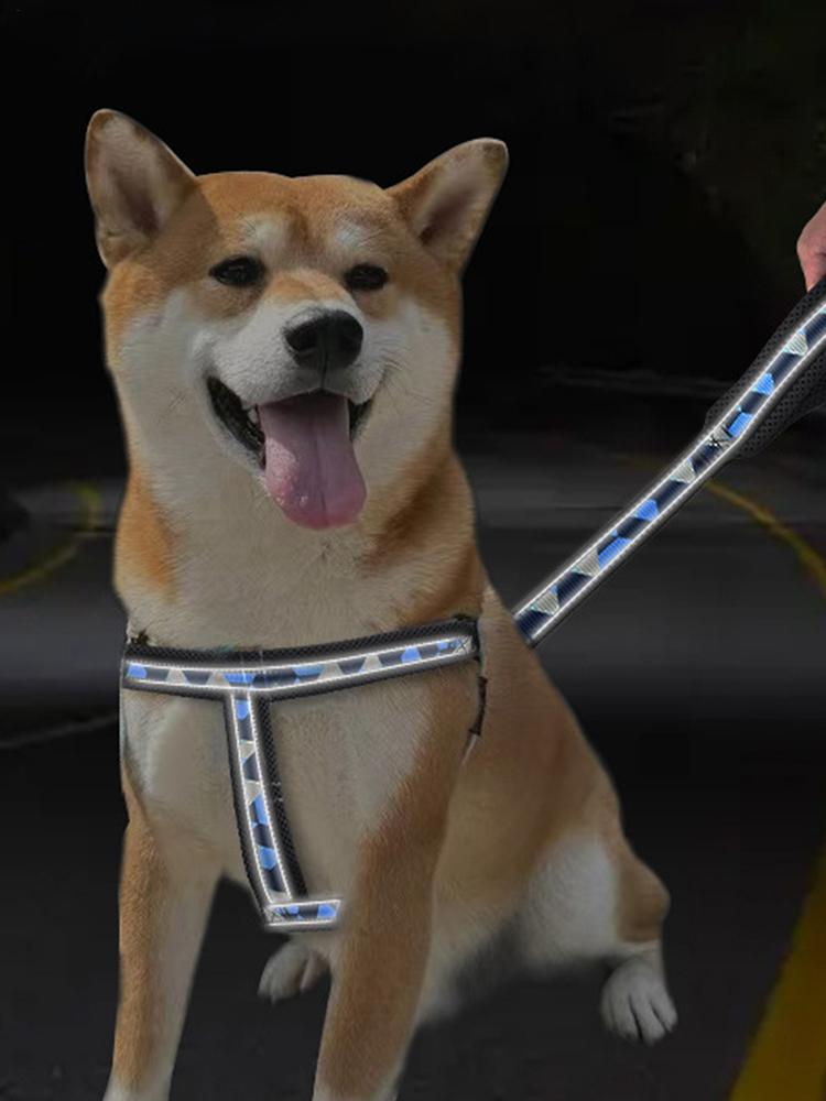 Night reflective harness traction rope Reflective Puppy Traction Lead Non Slip Adjustable Harness Leash pet supplies for Outdoor CN
Night reflective harness traction rope Reflective Puppy Traction Lead Non Slip Adjustable Harness Leash pet supplies for Outdoor CN