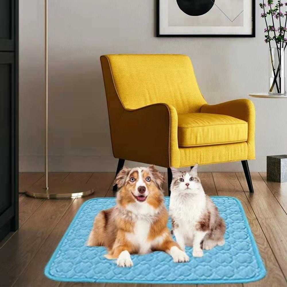 Keep Cooling Pet Summer Pads Colorful Dogs Self Cooling Mat Sturdy Pet Sleeping Mat Pet Supplies S светло-синий
Keep Cooling Pet Summer Pads Colorful Dogs Self Cooling Mat Sturdy Pet Sleeping Mat Pet Supplies S светло-синий