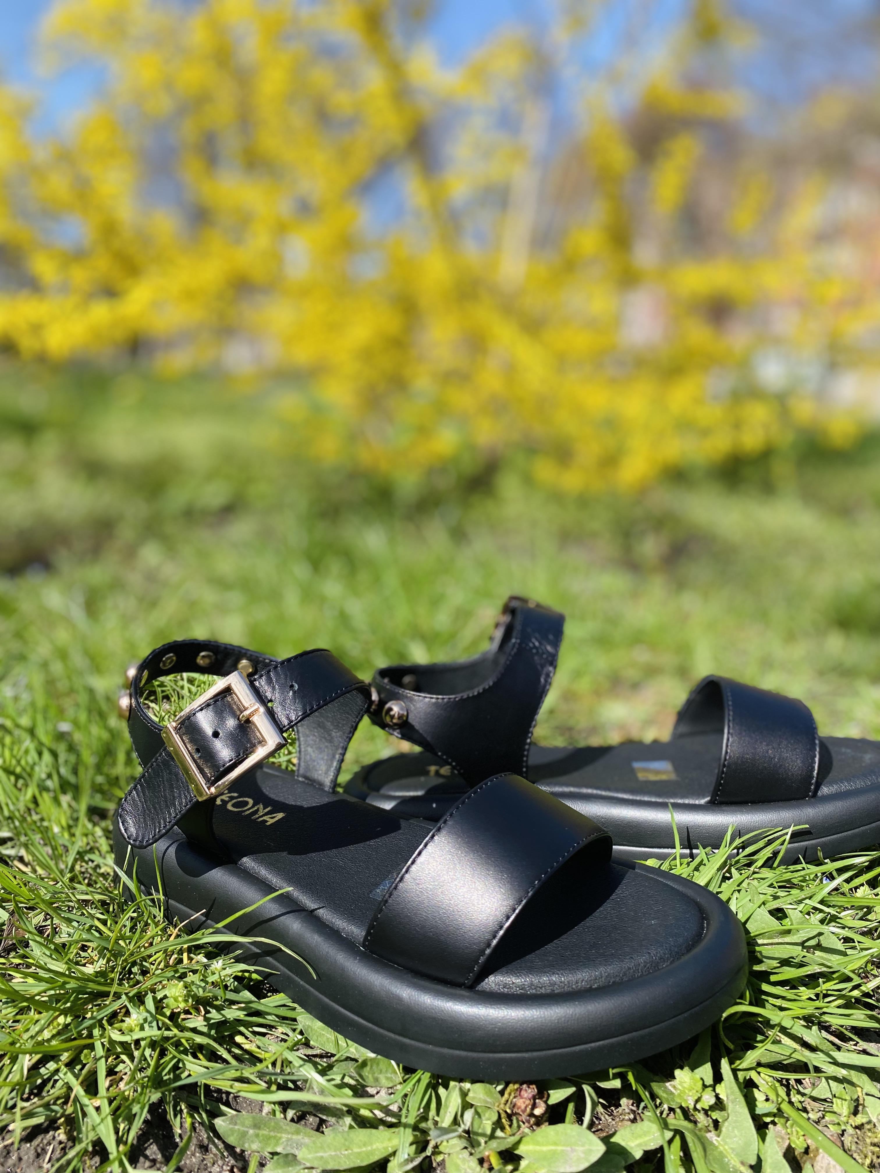 Босоніжки з пряжкою Teona 447 36 Чорна шкіра 39 чорний
Босоніжки з пряжкою Teona 447 36 Чорна шкіра 39 чорний