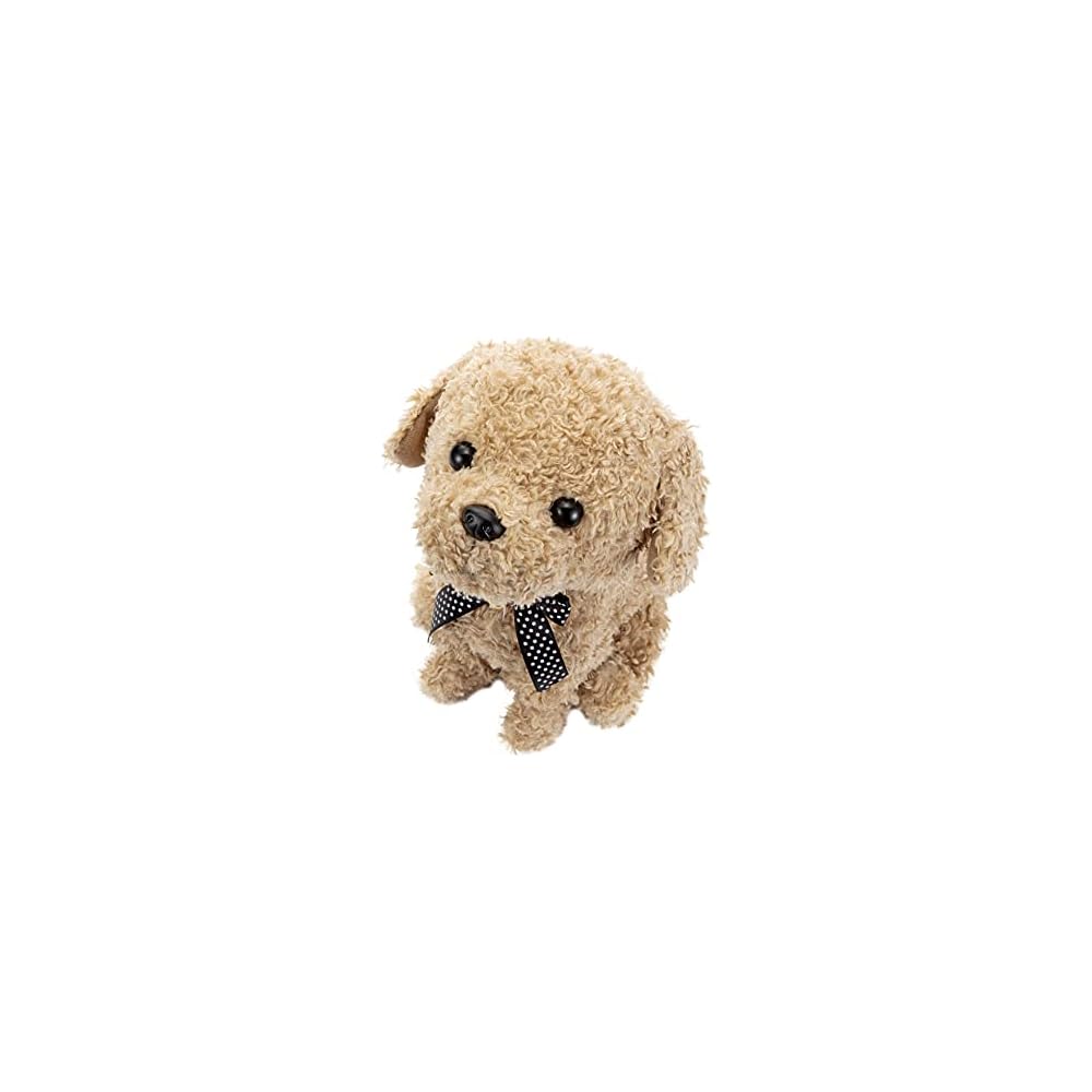 SEGA FAVE Coco Upside Down Apricot Plush Toy 30cm
SEGA FAVE Coco Upside Down Apricot Plush Toy 30cm