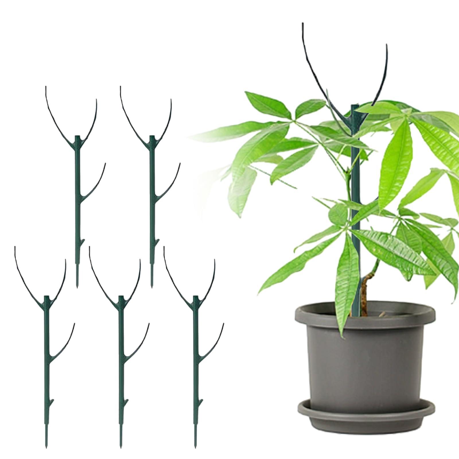 Stackable Monstera Plant Support, Plant Stakes For Indoor And Outdoor Plants Use, Garden Stakes For Climbing And Potted Plants, Pothos, Philodendron One Size
Stackable Monstera Plant Support, Plant Stakes For Indoor And Outdoor Plants Use, Garden Stakes For Climbing And Potted Plants, Pothos, Philodendron One Size