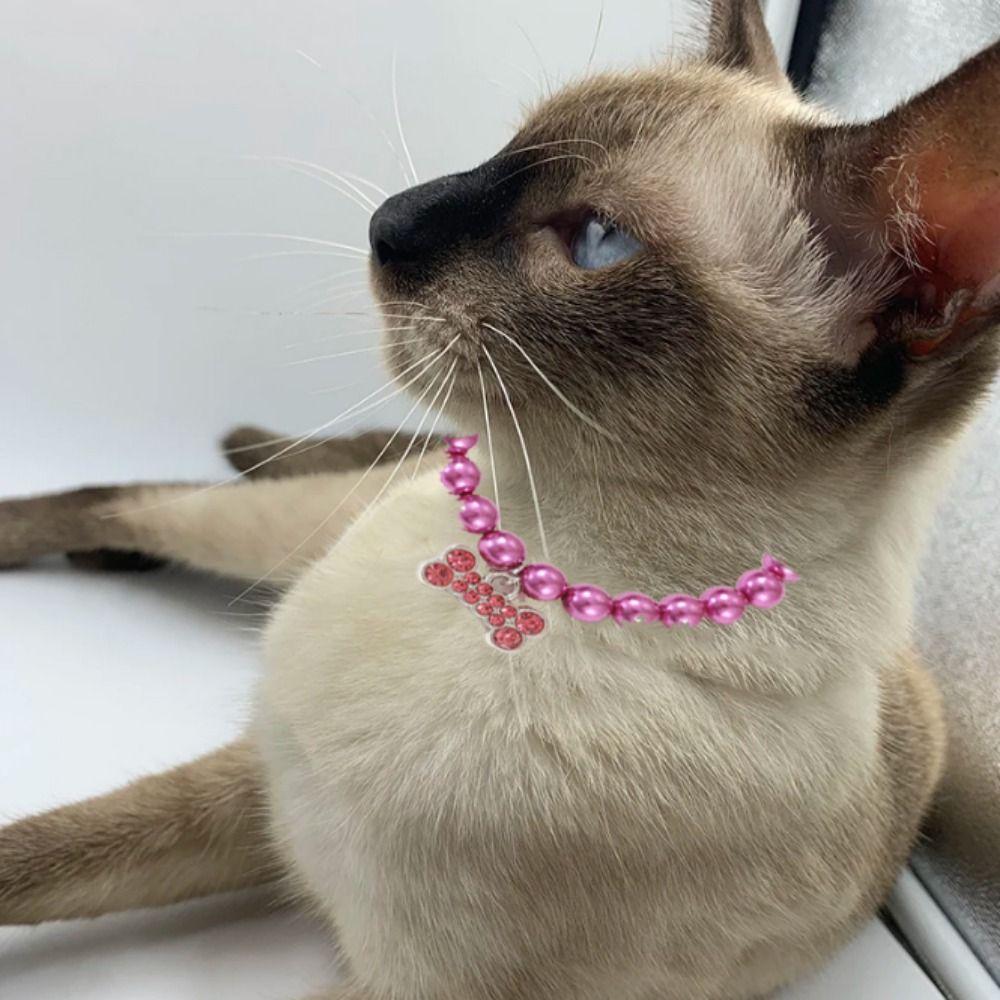 Decorative Pearl Cat Collar Plastic Cat Rhinestone Collar Fashion Pet Pearl Necklace Wedding S розовый
Decorative Pearl Cat Collar Plastic Cat Rhinestone Collar Fashion Pet Pearl Necklace Wedding S розовый