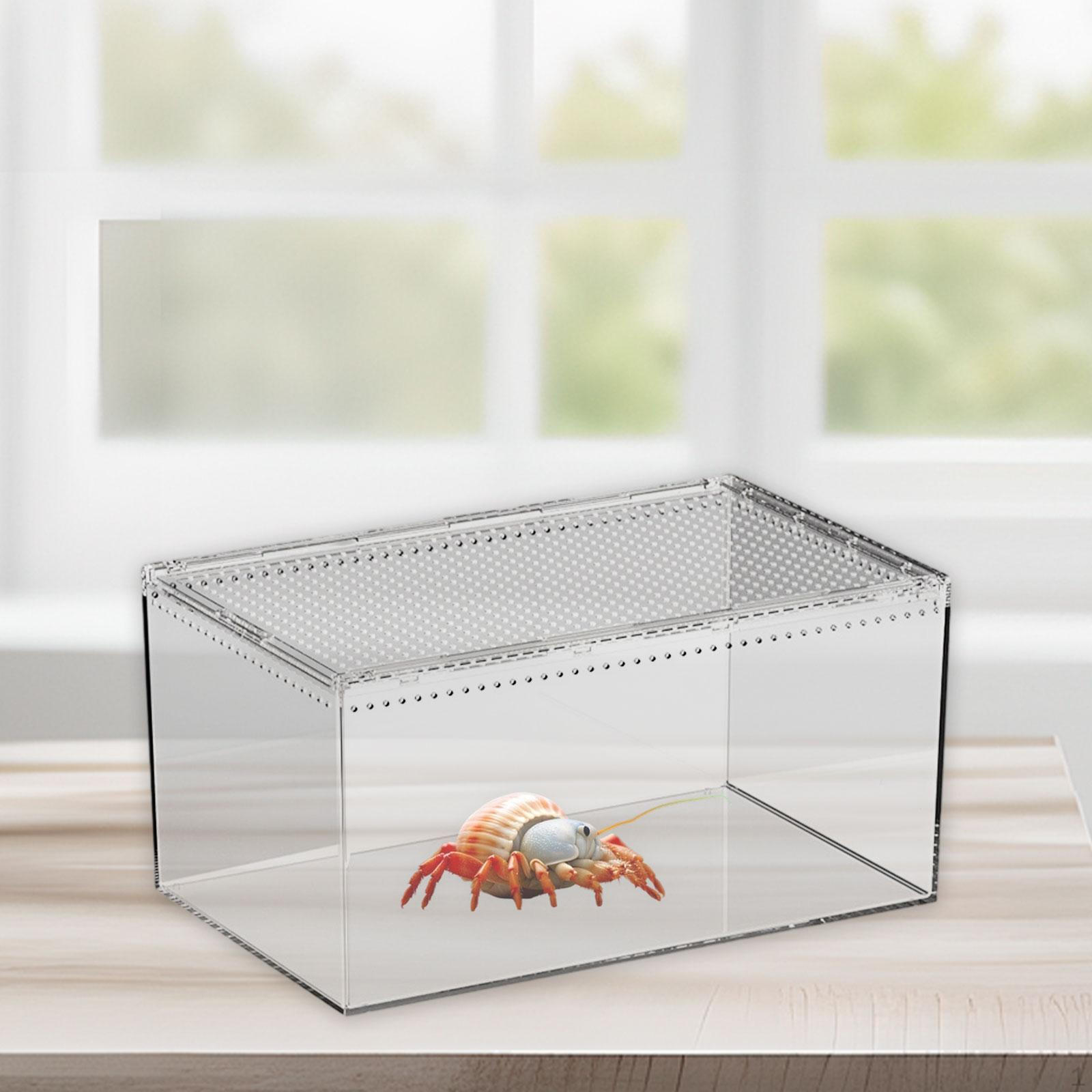 Reptile Feeding Box Terrarium Chameleons Breathable Professional Visible Geckos Lizards
Reptile Feeding Box Terrarium Chameleons Breathable Professional Visible Geckos Lizards