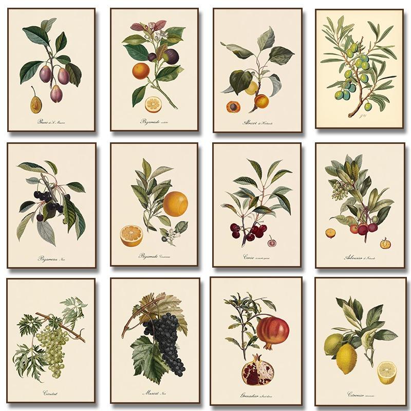 Retro Botanical Fruit Lemon Prune Orange Vintage Posters and Prints Wall Art Canvas Painting Wall Pictures Kitchen Decoration 21cm×30cm NoFrame
Retro Botanical Fruit Lemon Prune Orange Vintage Posters and Prints Wall Art Canvas Painting Wall Pictures Kitchen Decoration 21cm×30cm NoFrame