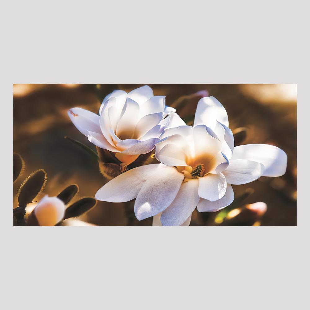 Креативный холст-постер, Абстрактная картина с белыми цветами, Белое цветочное настенное искусство на холсте, Художественная настенная роспись в подарок, для спальни, гостиной 20x40cm NoFrame
Креативный холст-постер, Абстрактная картина с белыми цветами, Белое цветочное настенное искусство на холсте, Художественная настенная роспись в подарок, для спальни, гостиной 20x40cm NoFrame