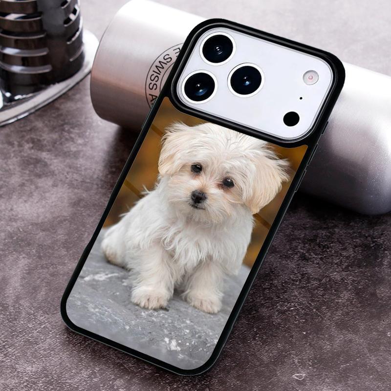 Cartoon Maltese Dog soft Phone Case For iPhone 17 16 15 14 13 12 11 Pro Max Plus 17Air Soft Silicone Cover iPhone17
Cartoon Maltese Dog soft Phone Case For iPhone 17 16 15 14 13 12 11 Pro Max Plus 17Air Soft Silicone Cover iPhone17