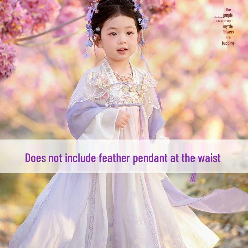 2026 Kids Hanfu: Tang Suit Fairy Dress - Ancient Chinese Style for Spring & Summer 100
2026 Kids Hanfu: Tang Suit Fairy Dress - Ancient Chinese Style for Spring & Summer 100