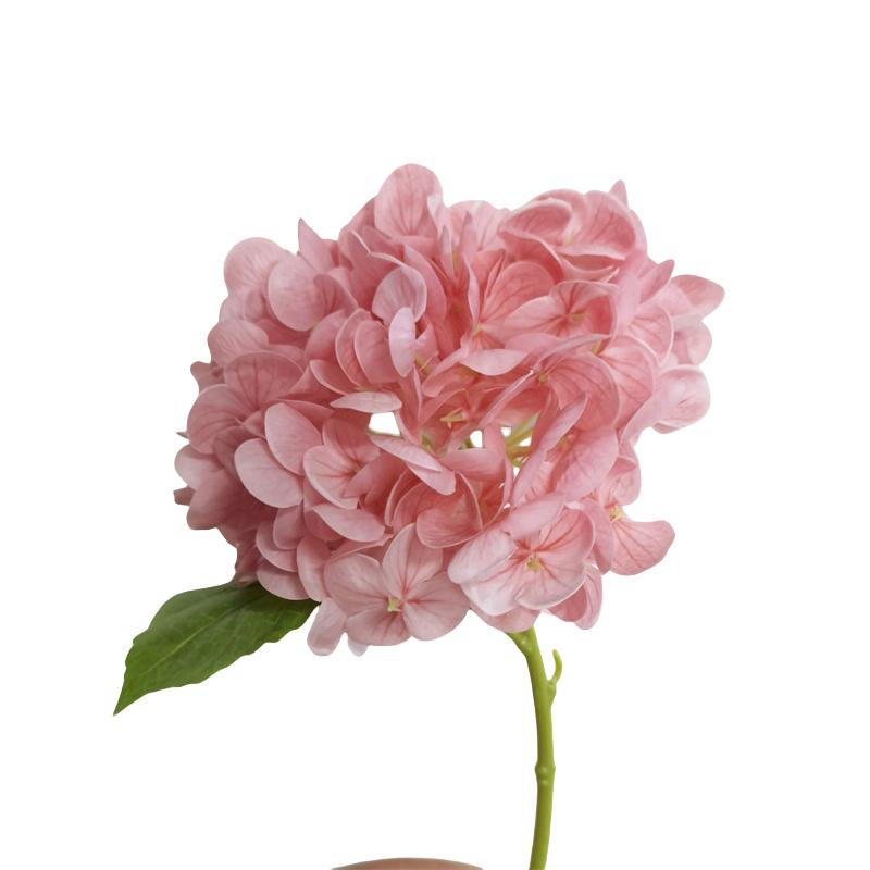 Simulation Hydrangea Branch Latex Fake Flower Real Touch Orange Hydrangeas Cafe Hotel Decoration Artificial Flowers Green Plant темно-рожевого кольору
Simulation Hydrangea Branch Latex Fake Flower Real Touch Orange Hydrangeas Cafe Hotel Decoration Artificial Flowers Green Plant темно-рожевого кольору