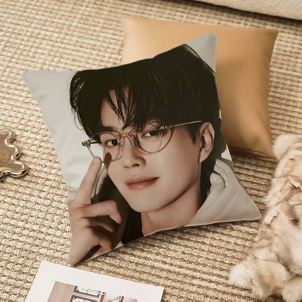 Наволочка Song K-kang Защита от пылевых клещей Невидимая молния Диван-кровать 12x12Inch
Наволочка Song K-kang Защита от пылевых клещей Невидимая молния Диван-кровать 12x12Inch