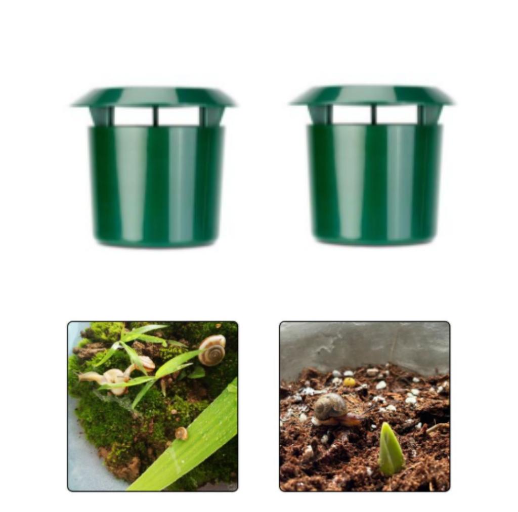 Reusable Snail Trap Boxes 2pcs Made of Plastic for Protecting For Gardens Farms and Orchards from Snails and Slugs China Mainland
Reusable Snail Trap Boxes 2pcs Made of Plastic for Protecting For Gardens Farms and Orchards from Snails and Slugs China Mainland