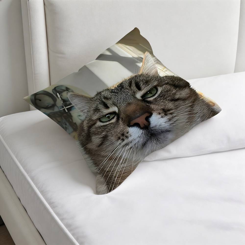 Funny Cat MeMe Decorative Square Pillow Cover Soft Comfortable Pillow Case Sofa Bed Home Decoration 30x30cm
Funny Cat MeMe Decorative Square Pillow Cover Soft Comfortable Pillow Case Sofa Bed Home Decoration 30x30cm