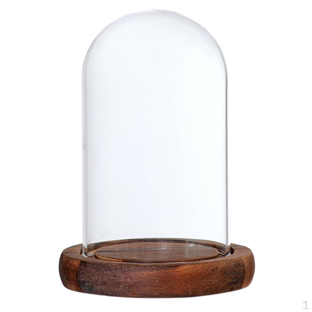 Держатель контейнера для ландшафтного террариума для свадебного украшения
Держатель контейнера для ландшафтного террариума для свадебного украшения