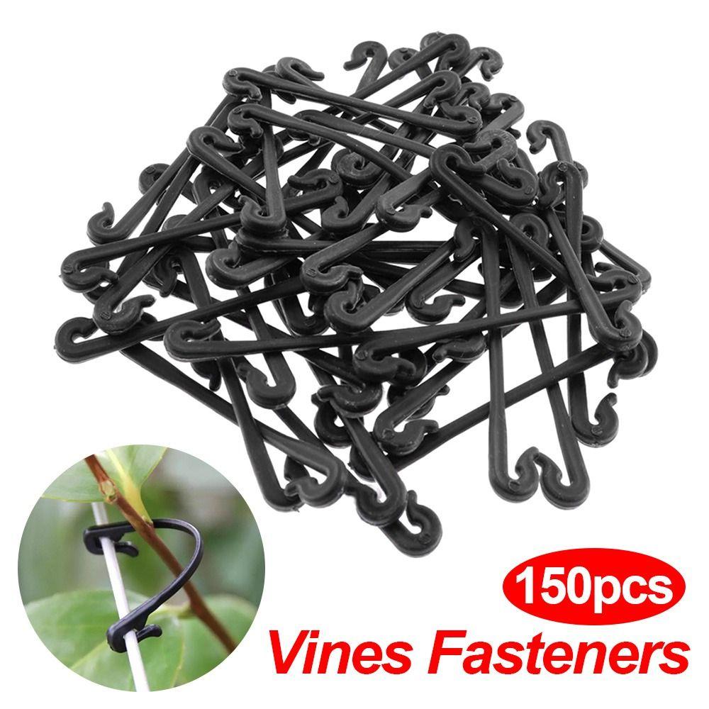 Clips Fixing Ring Grape Tool Vegetable Strapping Clips Vines Fasteners Garden Plants Buckle 150PCS
Clips Fixing Ring Grape Tool Vegetable Strapping Clips Vines Fasteners Garden Plants Buckle 150PCS