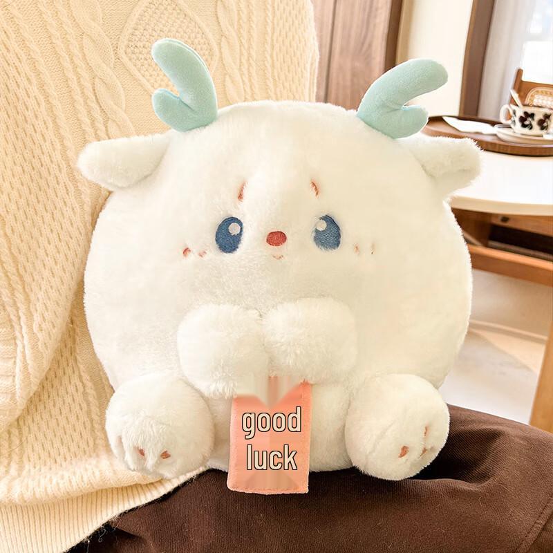 Cute Plush Electric Hot Water Bottle
Cute Plush Electric Hot Water Bottle
