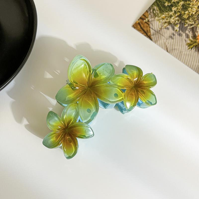 Flower Hair Clip Temperament Girl Claw Clip With High Ponytail Fashionable Hair Accessory
Flower Hair Clip Temperament Girl Claw Clip With High Ponytail Fashionable Hair Accessory