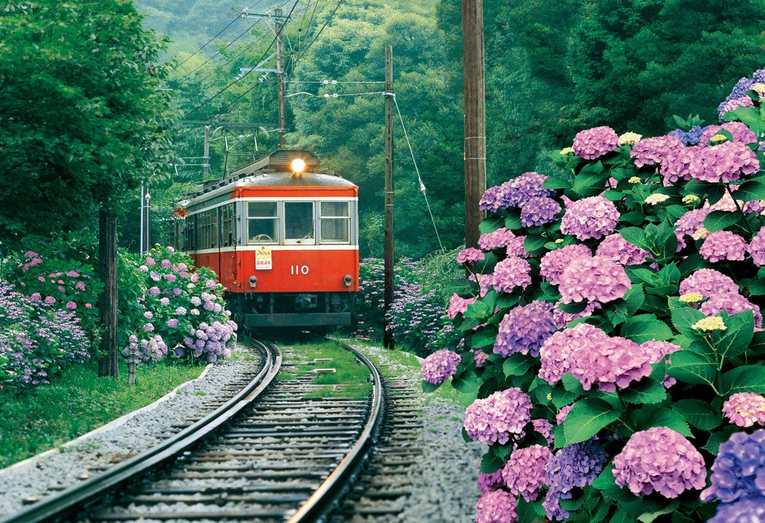 Jigsaw Aim to be a Puzzle Hakone Tozan Railway with Hydrangea Fragrance 300-piece Puzzle Master! (26x38cm)
Jigsaw Aim to be a Puzzle Hakone Tozan Railway with Hydrangea Fragrance 300-piece Puzzle Master! (26x38cm)