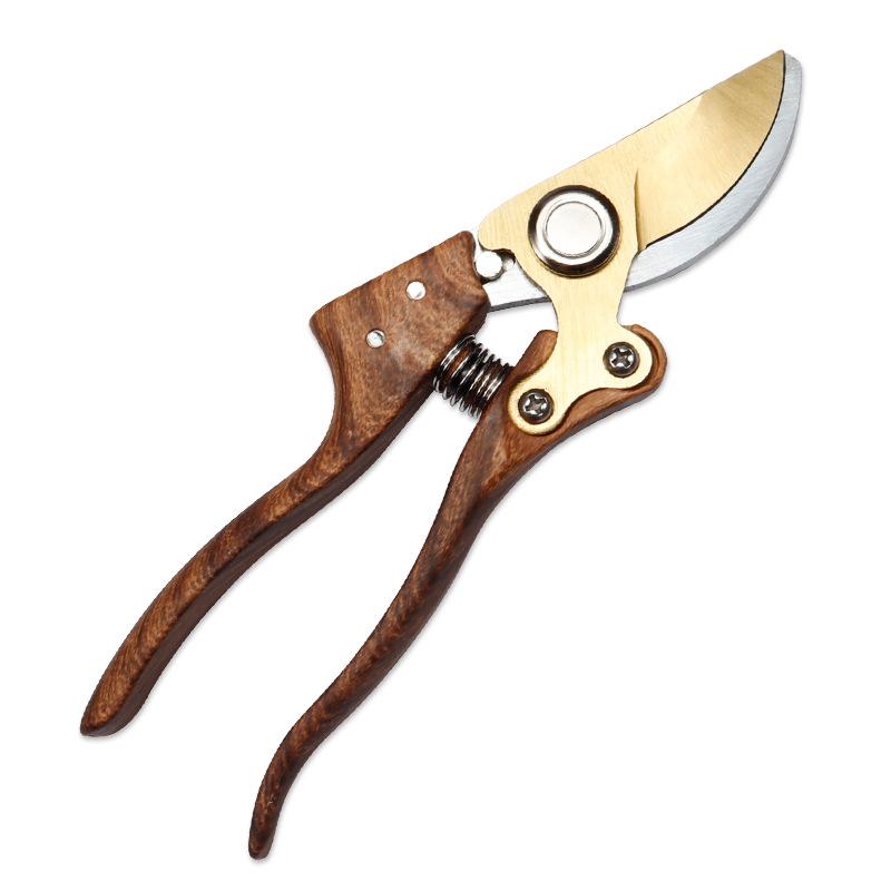 Многоцелевой секатор Позолоченное лезвие секатора Садовый секатор Лезвие 1pc коричневый
Многоцелевой секатор Позолоченное лезвие секатора Садовый секатор Лезвие 1pc коричневый