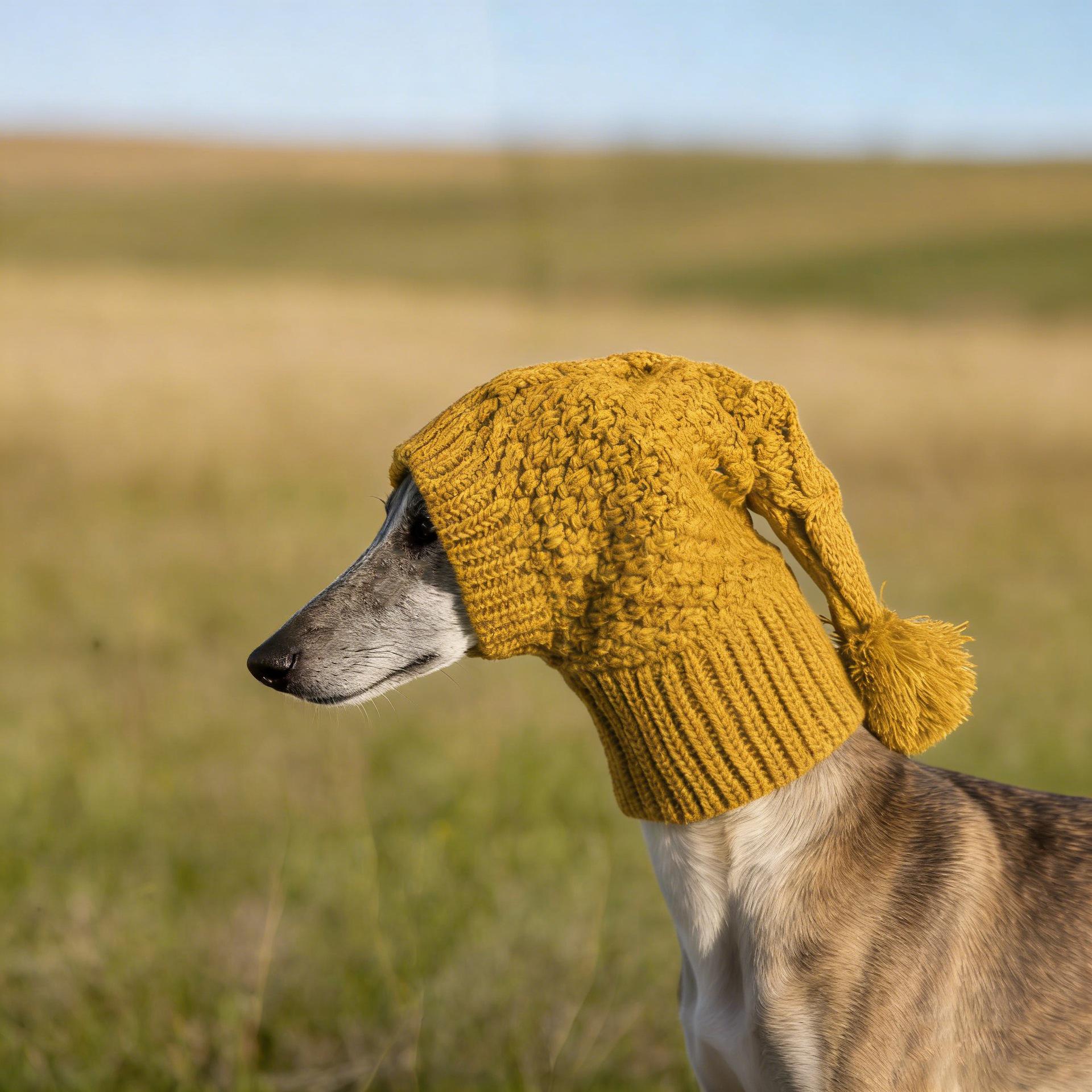 Cozy Wool Hat for Whippets & Italian Greyhounds Medium жёлтый/имбирный
Cozy Wool Hat for Whippets & Italian Greyhounds Medium жёлтый/имбирный